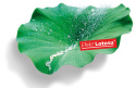STO Farba elewacyjna StoColor Lotusan® (5 L)