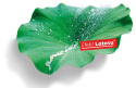 STO Farba elewacyjna StoColor Lotusan® G (5 L)