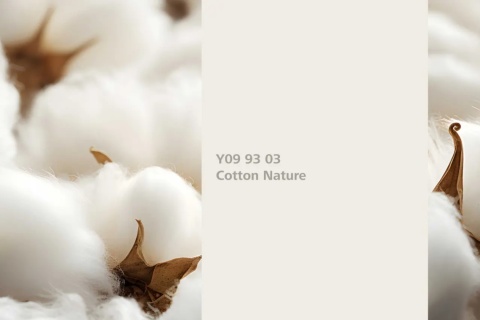 Cotton Nature