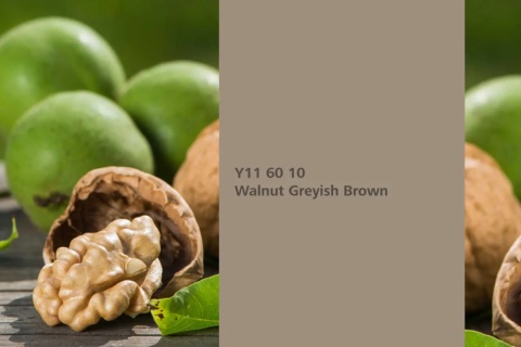 Walnut Greyish Brown
