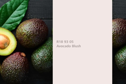 Avocado Blush