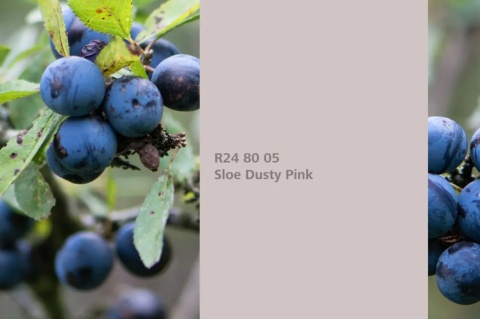 Sloe Dusty Pink