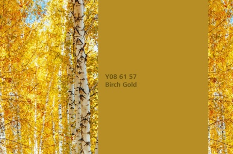 Birch Gold