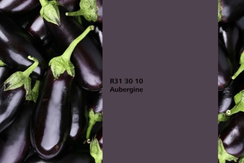 Aubergine
