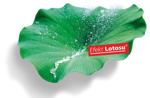 STO Farba elewacyjna StoColor Lotusan® (2.5 L)